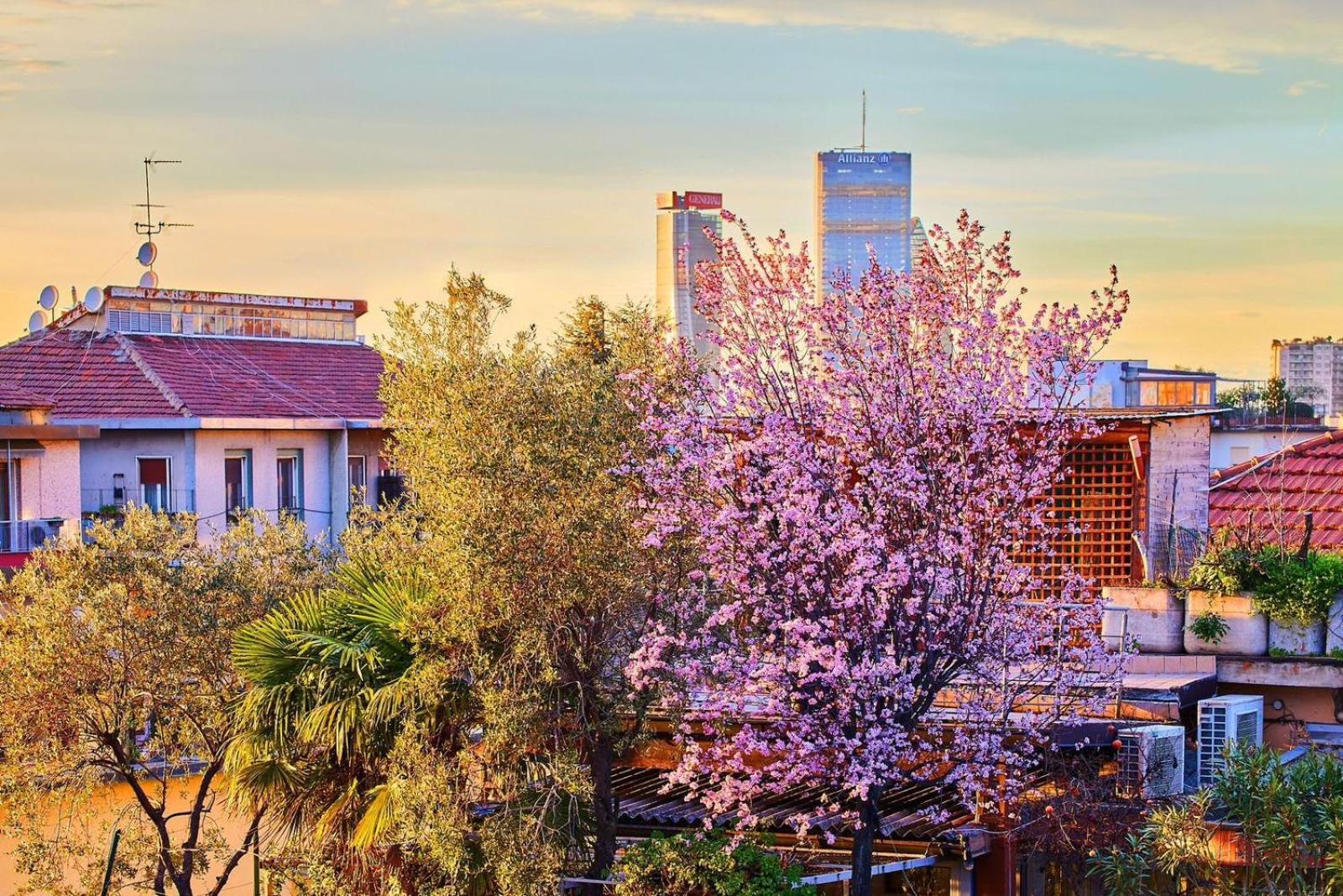 Sant'Ambrogio Charme Apartment 米兰 外观 照片